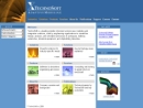 Website Snapshot of TECHNOSOFT INC