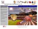 Website Snapshot of Sports Doctor Baseball Glove Mfg. Inc., The
