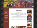 Website Snapshot of Townsend Sales, Inc.
