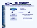 Website Snapshot of TRI SYNERGY INC