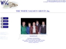 Website Snapshot of WHITE SALMON GROUP INC