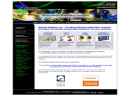 Website Snapshot of Zepnick Solutions