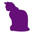 MYM Purple Cat