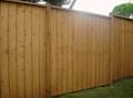 Cedar Fence - Exterior