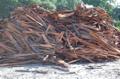 Truckload Mesquite Firewood