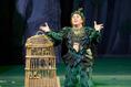 Papageno's Search for Love