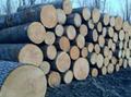 Pennsylvania Logs 