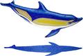 Glass Mosaic Dolphin B with Shadow, 38