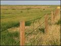 Farm, Ranch, Agricultural Fences