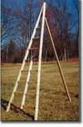 Baldwin Apple Ladders - Wooden orchard ladders