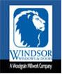 Windsor Windows