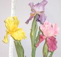Silk Iris   From Thailand  millinery supply