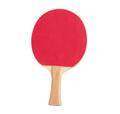 PIPS IN RUBBER FACE TABLE TENNIS PADDLE