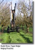 Double Rotary Topper-Hedger Hedging Pistachios