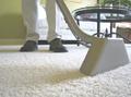 SunBrite Carpet Cleaner Stain Remover Spot Cleaner