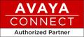 Avaya Business Partner Logo