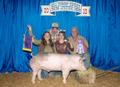 2010 Major Show Pig Winner