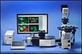 BD Bioscience CARV II Confocal microscope IPLab 3D software BioVision deconvolution software fully motorize and upgrade any microscope to confocal capability, white light Nipkow spinning disk confocal