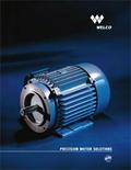 Welco Technologies Precision Motor Solutions