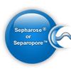 Glutathione Separopore  (Agarose) Microbeads
