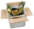 insulated shipping fresh fruits