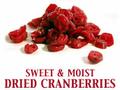 urinary tract, cranberries, anti-adhesion, disease, mg, urinary, tract, study, bacteria, fat, calories, researchers, cranberry, university, anti, adhesion