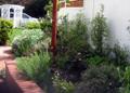 Landscaping Work Example 5