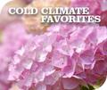 Cold Climate Favorites