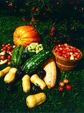 Assorted fruits & vegetables without calcium deficiency