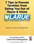 7 Tips to Prevent Termites from Eating You Out of House and Home