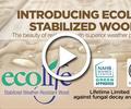 Ecolife Video