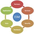 Enterprise System Management