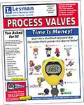 Lesman 2013 Process Valves Catalog
