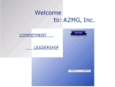 Website Snapshot of A2MG Inc