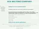 Website Snapshot of Ace Belting Company