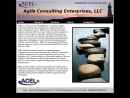Website Snapshot of ACEL-AGILE CONSULTING ENTERPRISES LLC