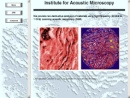 Website Snapshot of INSTITUTE FOR ACOUSTIC MICROSCOPY LLC USA