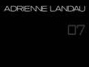 Website Snapshot of Landau Designs, Inc., Adrienne