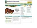 Website Snapshot of American Forest & Paper Association (AF&PA)