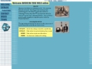 Website Snapshot of American Cube Mold, Inc.