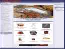 Website Snapshot of American Ladders, Scaffolds & Truck Equipment, Inc.