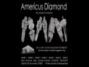 Website Snapshot of Americus Diamond Co.
