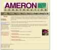 Website Snapshot of Ameron Construction Co., Inc.