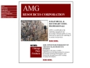 Website Snapshot of A M G Resources Corp.