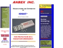 Website Snapshot of ANBEX INC.
