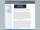Website Snapshot of ANGEL SECURE NETWORKS, INC.