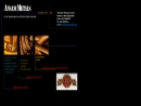 Website Snapshot of ANSAM METALS CORPORATION
