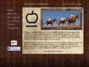 Website Snapshot of APPLE BAR OUTFITTERS