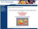 Website Snapshot of Atlanta Pricing Systems, Inc.