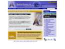 Website Snapshot of AVIATION ALLIANCE INC